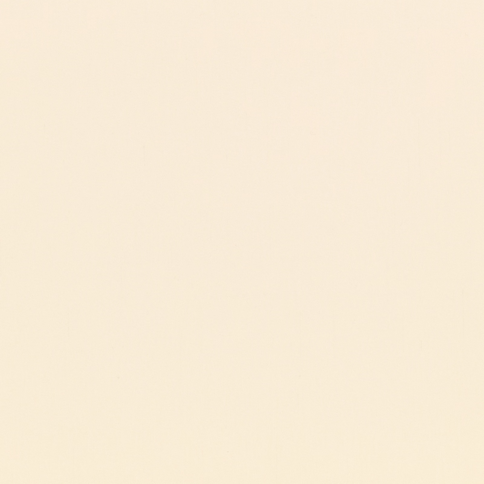 Pale oyster cream fabric swatch with a barely visible fine woven texture