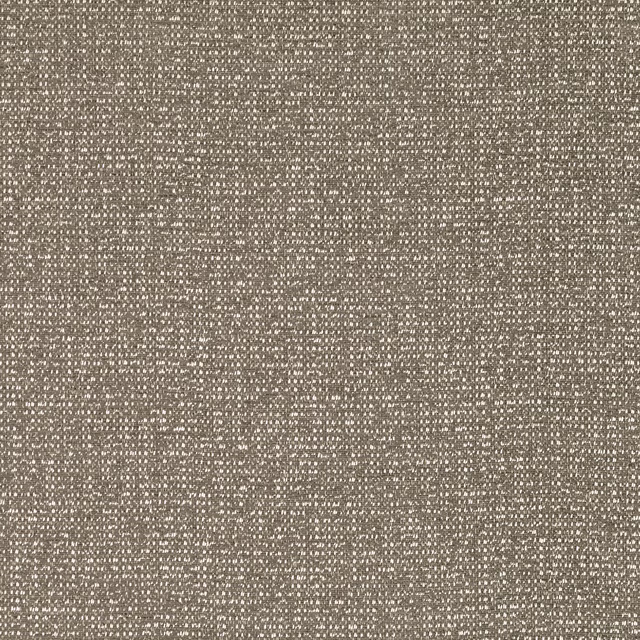 Muted lichen taupe woven textile with a tightly flecked, tactile surface