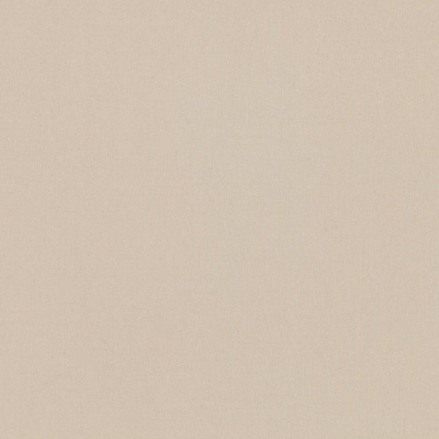Warm champagne-beige textile with a fine, even, subtly nubby surface