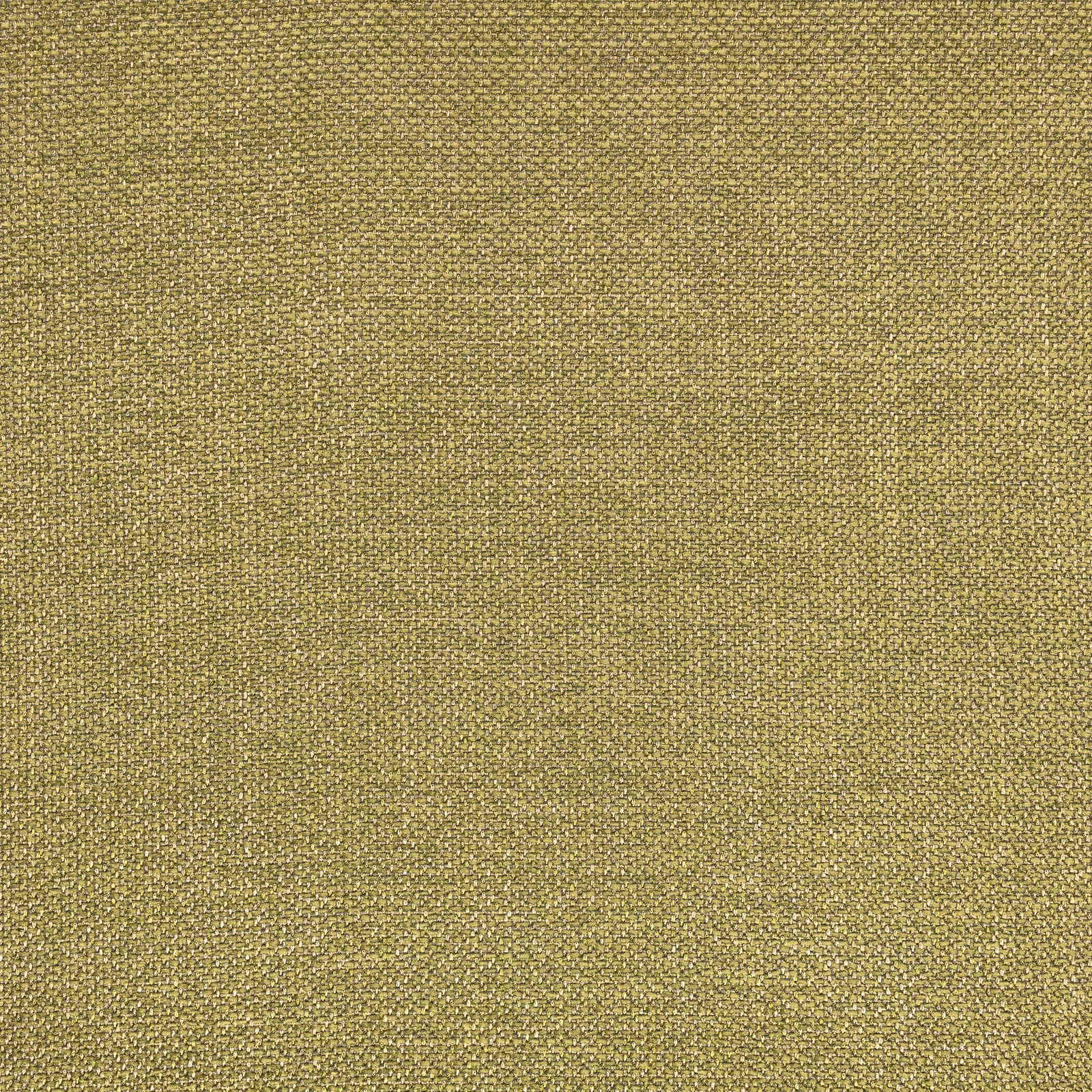 Close-up of muted olive-gold plain weave with fine granular texture