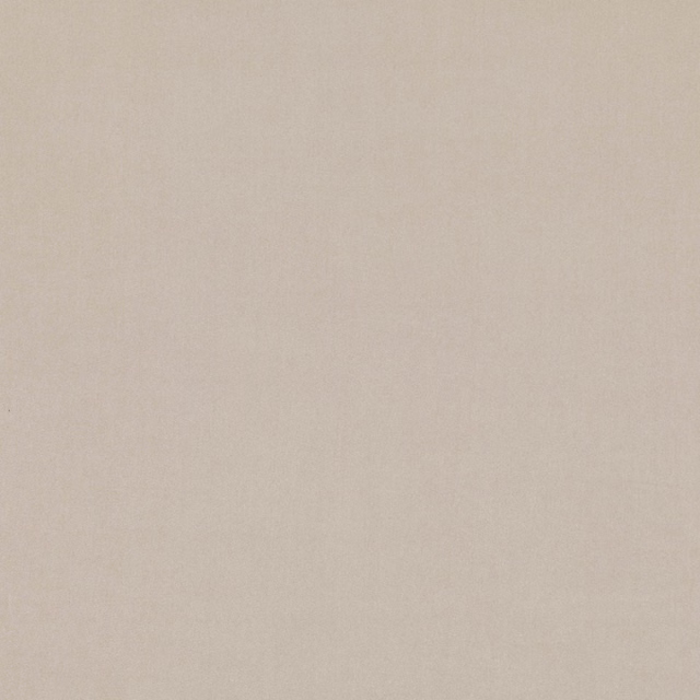 Pale greige taupe plain weave with a soft, lightly mottled surface