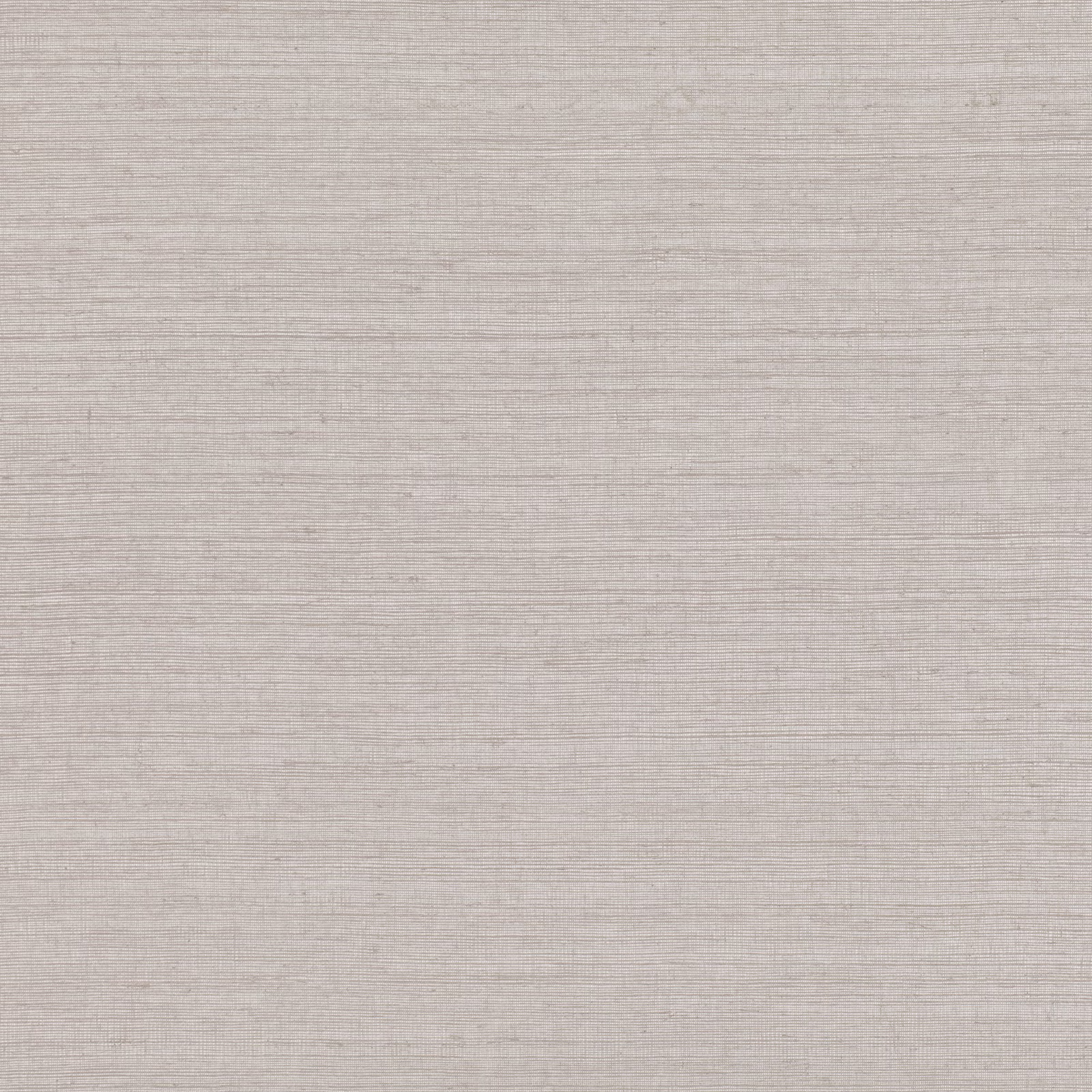 Pale greige wallpaper with fine horizontal striations and subtle mineral variation