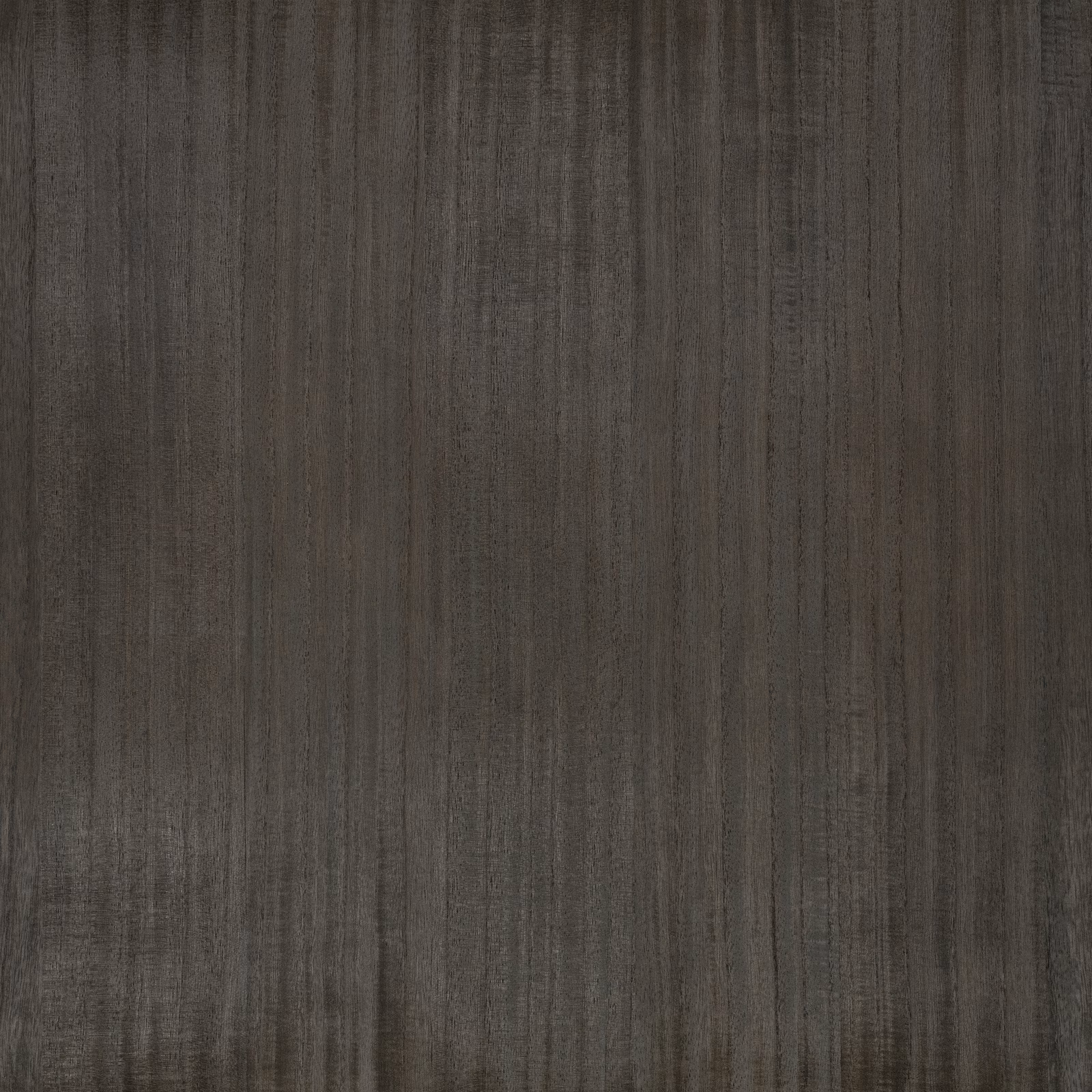 Deep charcoal-grey wallpaper with fine vertical woodgrain-like striations