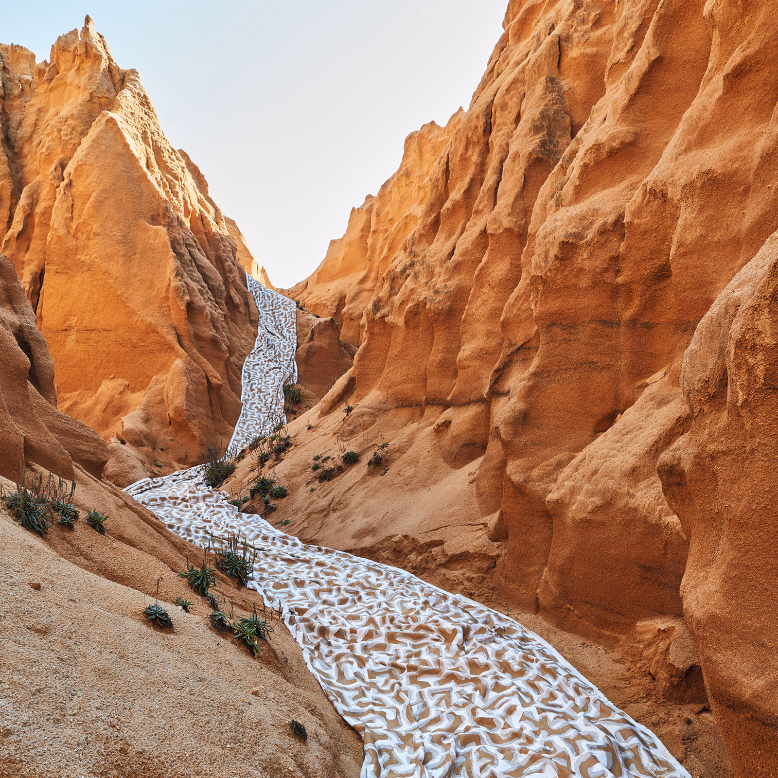 Warm tobacco canyon landscape with rust sandstone cliffs and pale winding river motif