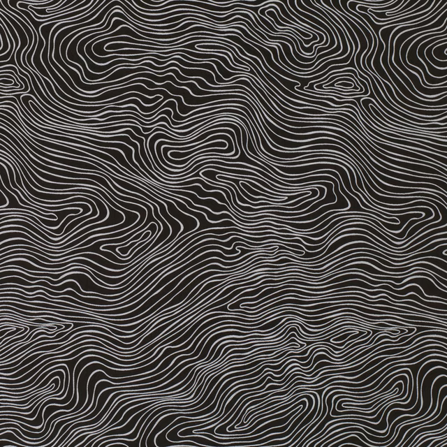 Deep graphite textile with pale grey, swirling topographic contour lines