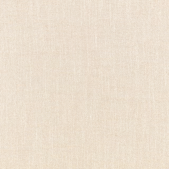 Warm ivory sheer with a fine woven grain and subtle vertical texture