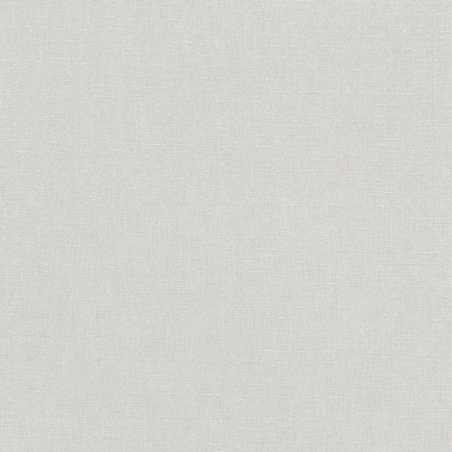 Icy pale grey sheer fabric with a fine, subtly striated woven texture