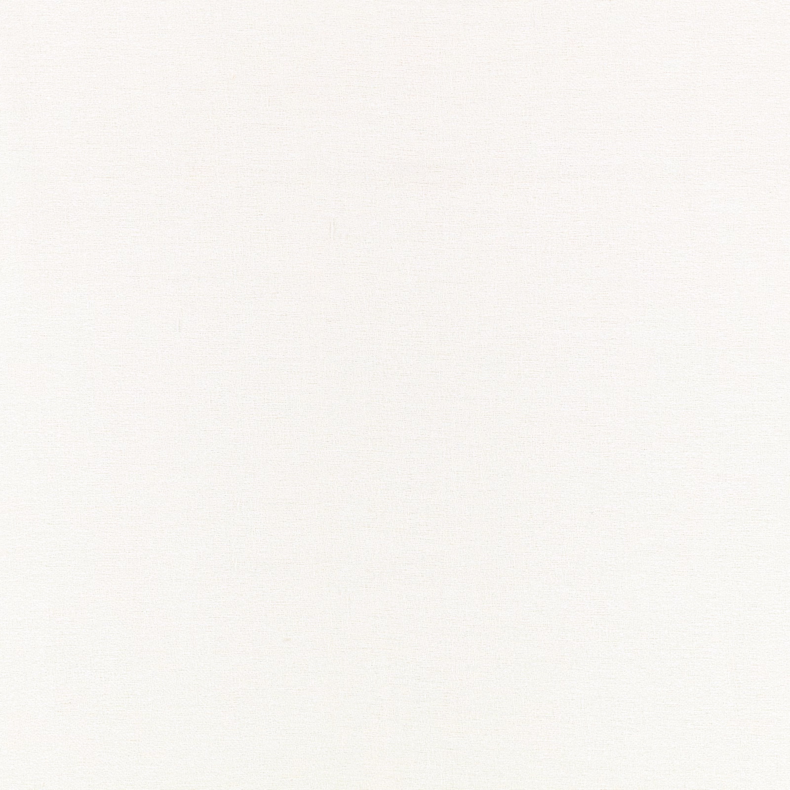 Fine ivory-white sheer with a subtle, near-plain woven texture