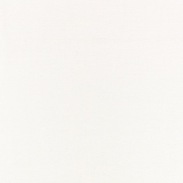 Fine ivory-white sheer with a subtle, near-plain woven texture
