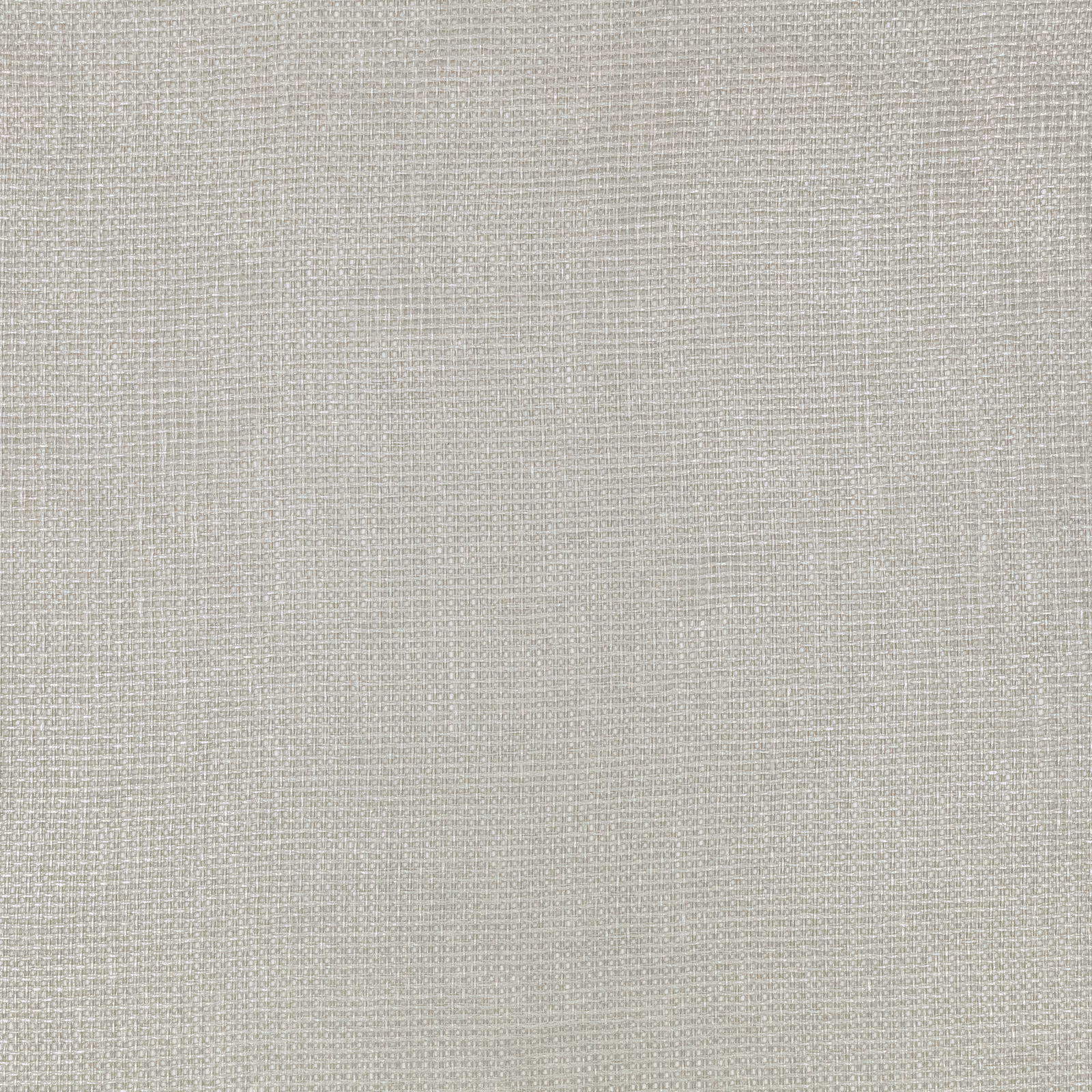 Pale cool grey-beige sheer with a fine, softly irregular woven grid