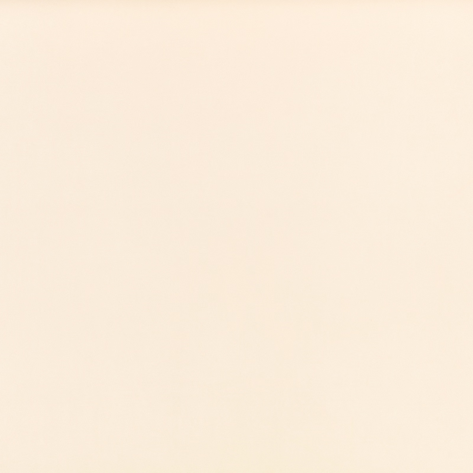 Plain warm bone-cream swatch with a softly brushed, suede-like surface