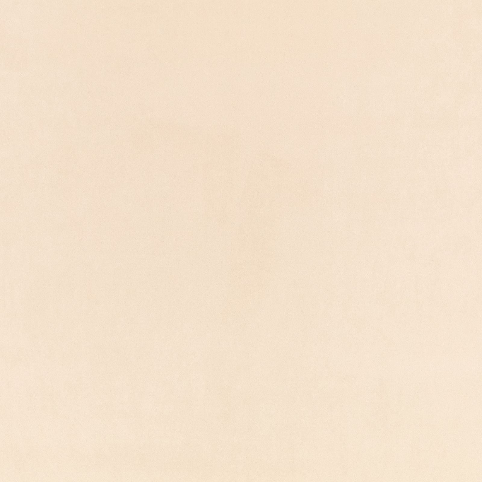 Pale warm cement-beige suede surface with a soft, almost patternless nap
