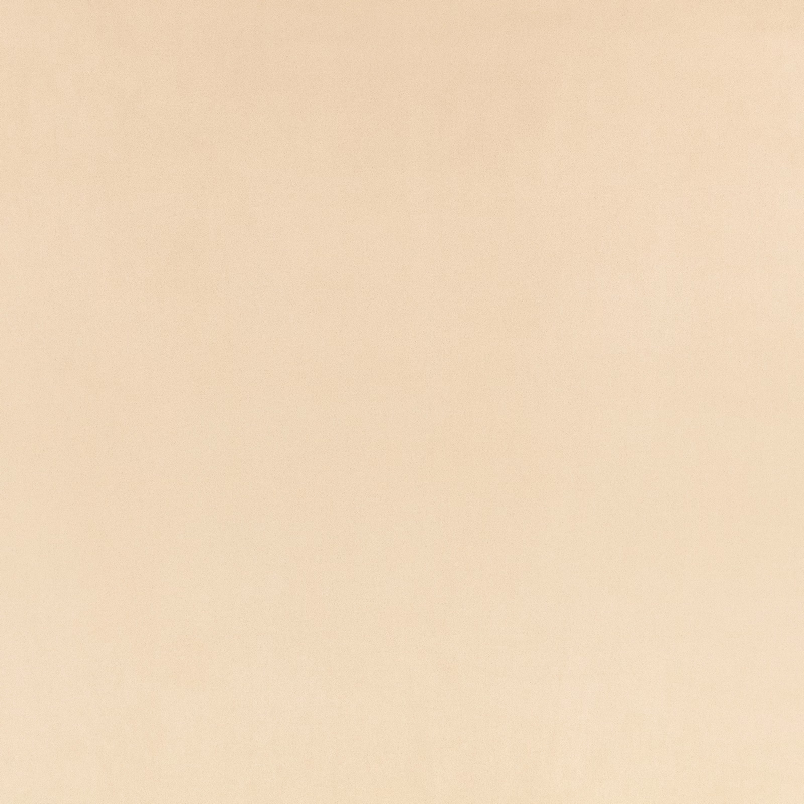 Warm gazelle beige plain suede surface with a softly brushed, even nap