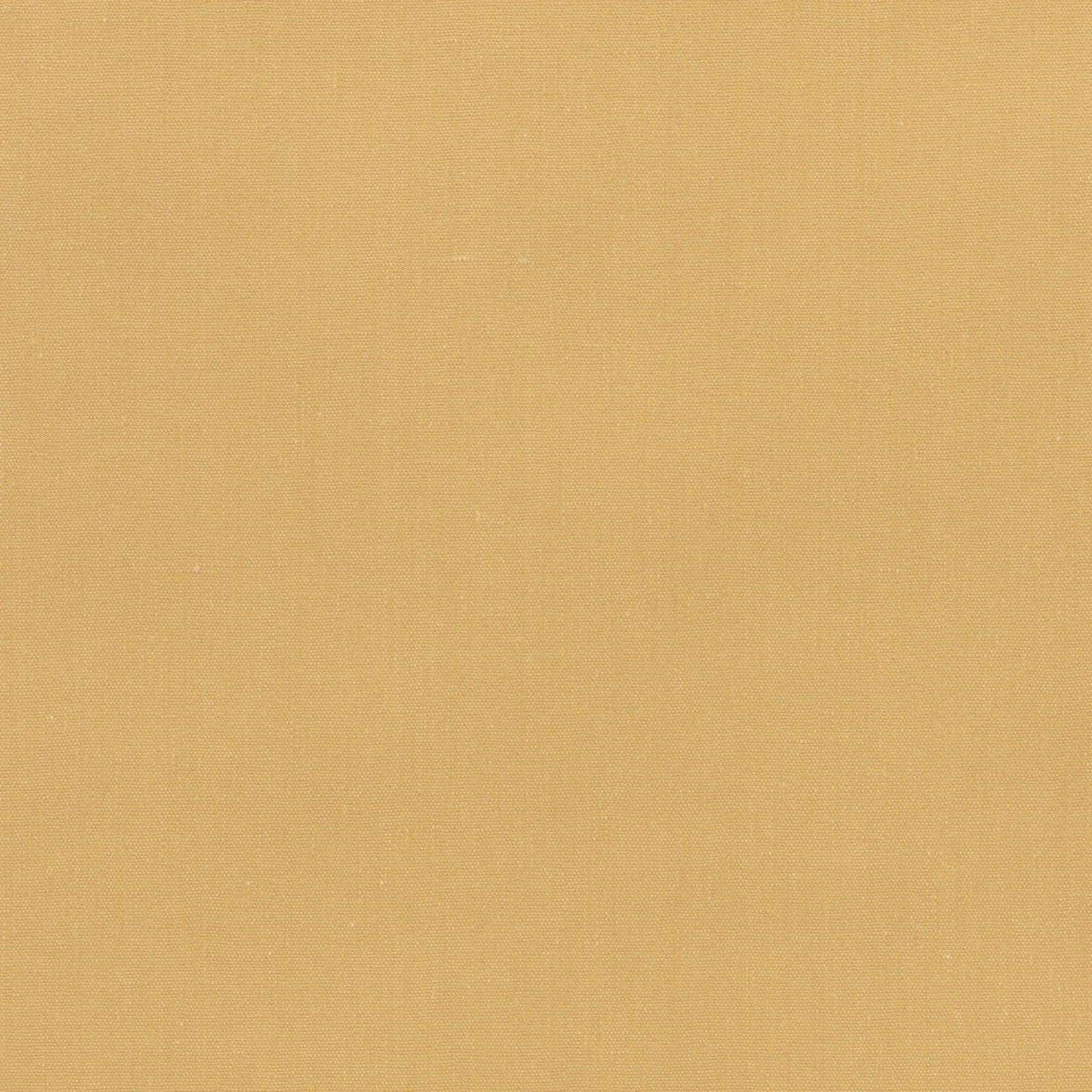 Warm ochre-gold plain weave with fine vertical grain and softly varied texture