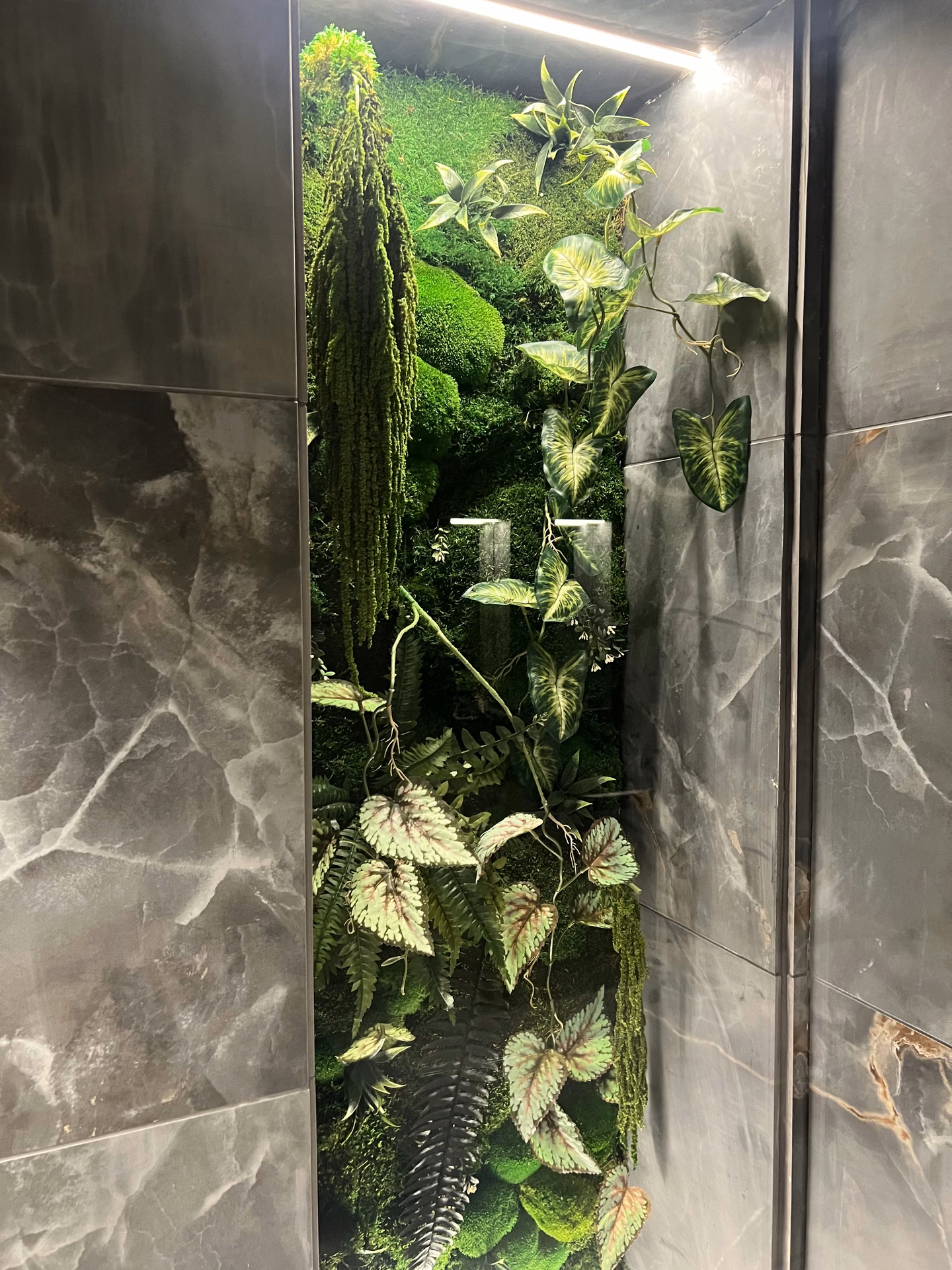 Moss wall art, photograph 11