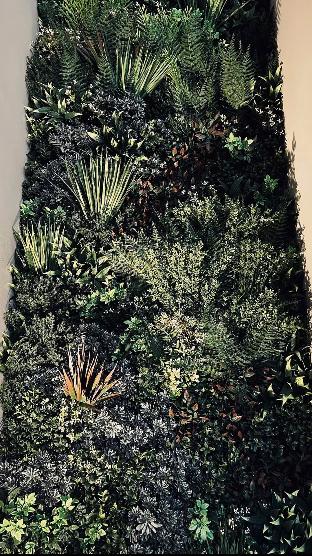 A moss wall planted with mixed preserved foliage