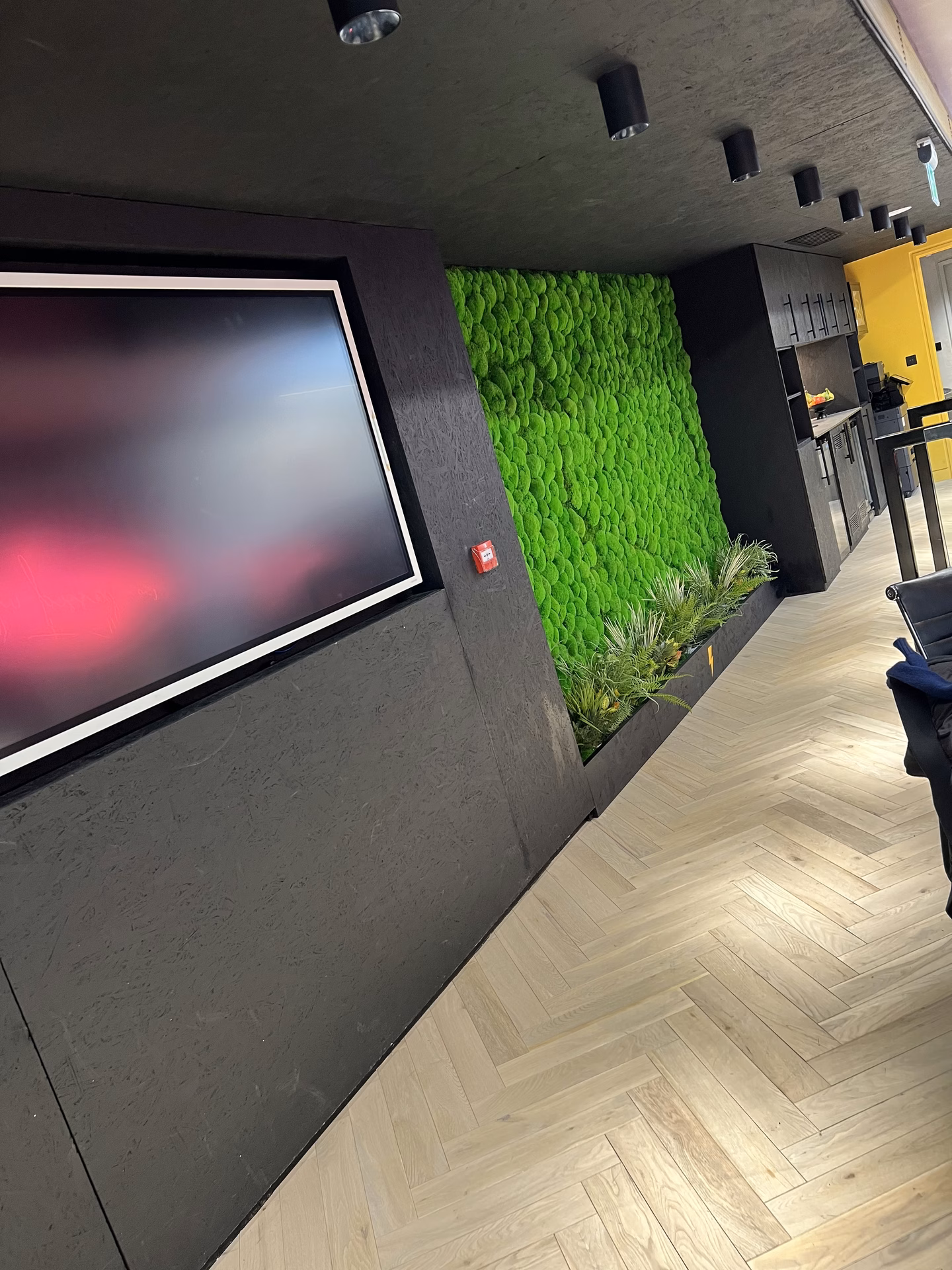 The office moss wall in use behind a screen