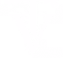 Tevelis